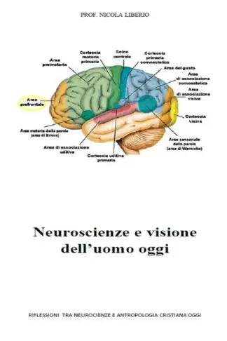 Copertina dell'ebook Neuroscienze e visione dell'uomo oggi
