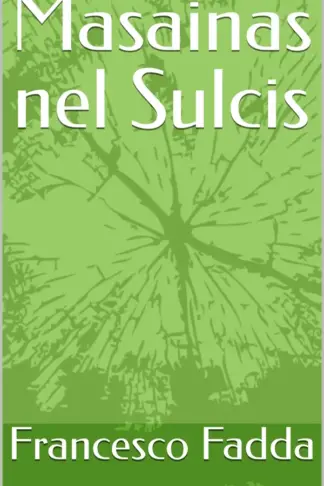Copertina dell'ebook Masainas nel Sulcis