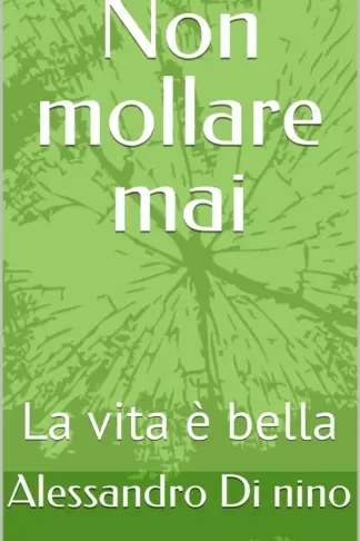 Copertina dell'ebook Non mollare mai: La vita è bella