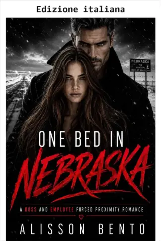 Copertina dell'ebook Un letto in Nebraska (I dossier del "Finto fidanzato")