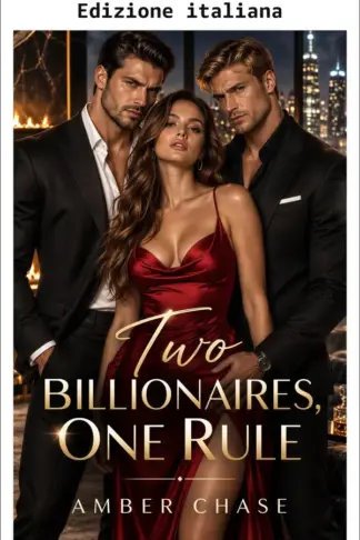 Copertina dell'ebook Due miliardari, una regola (Due è meglio di uno Vol. 1)