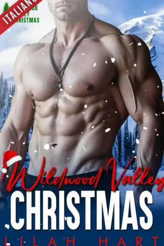 Copertina dell'ebook Wildwood Valley Natale collezione completa (Collezioni di Lilah Hart Vol. 5)