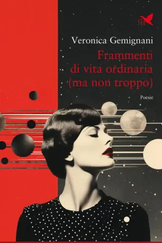 Copertina dell'ebook Frammenti di vita ordinaria (ma non troppo)