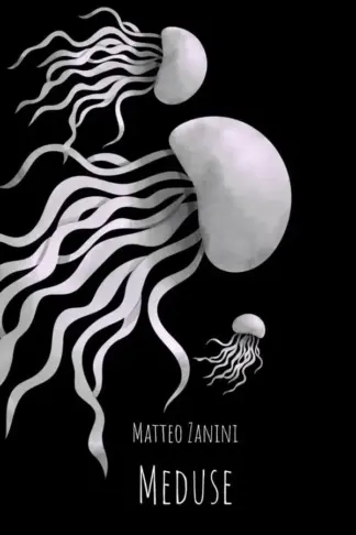 Copertina dell'ebook Meduse: romanzopoesia